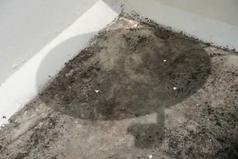 Water Damage Restoration service