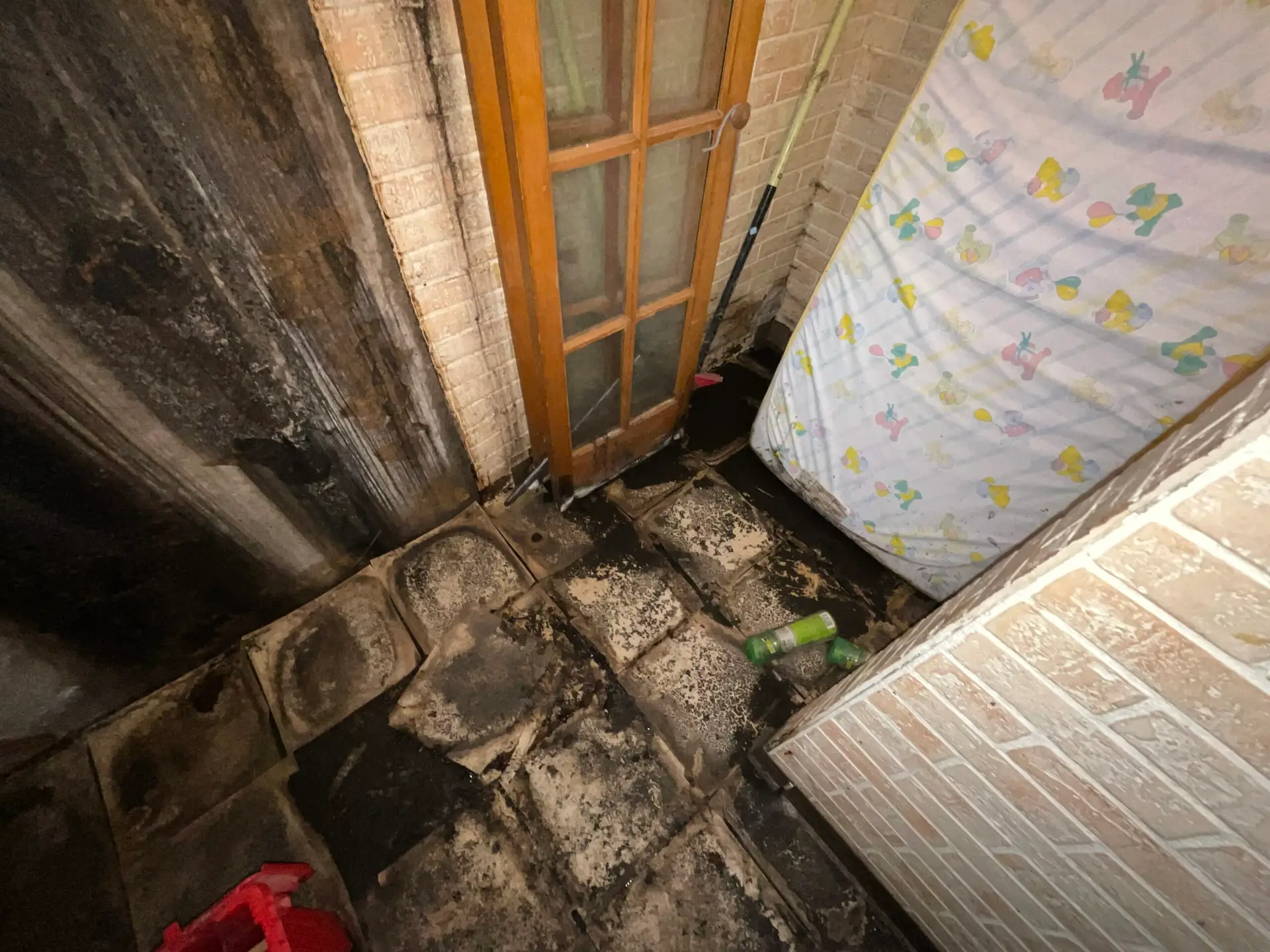 Black mold damage in Bonner Springs Kansas