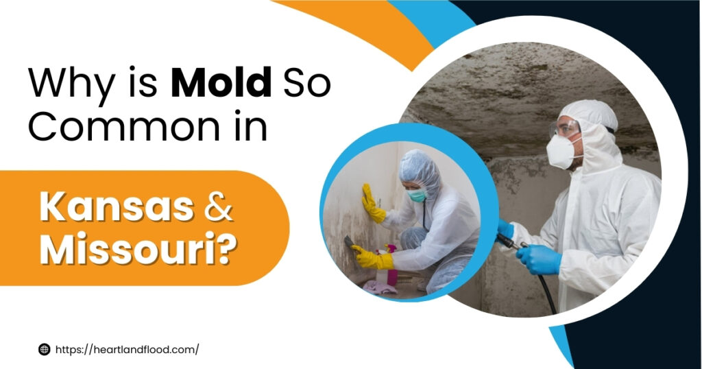 Why mold is common in Kansas and Missouri