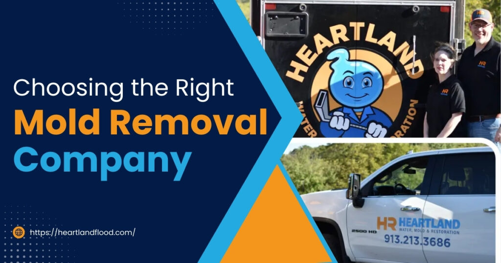 Choosing the right mold removal company