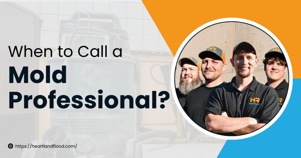 When to call a mold professional